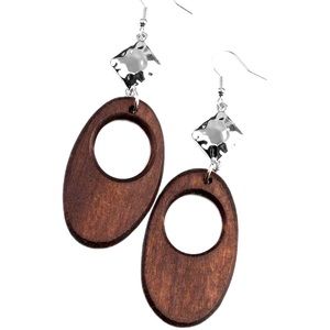 Paparazzi earring with fish hook backing